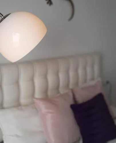 Nicolasa 公寓 赫雷斯